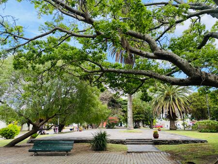 Der Plaza Mayor in Colonia del Sacramento, Uruguay, zeigt sich in dieser Aufnahme von seiner grünen Seite. Umgeben von einer Vielzahl üppiger Bäume präsentiert sich der historische Hauptplatz in einer ruhigen und friedlichen Atmosphäre.