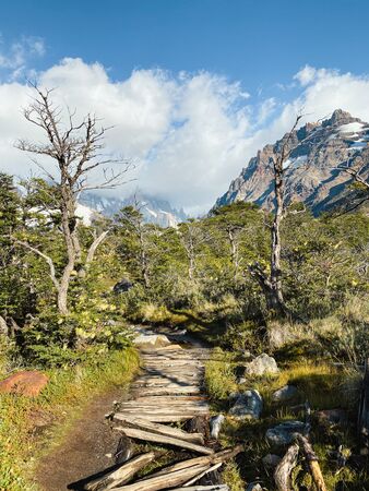 Ein Wanderweg in toller Landschaft, der zum Cerro Torre in Patagonien führt. Rechts ein großer Berg, links ein ausgetrockneter Baum. Die Landschaft wirkt wie aus einer anderen Welt - im positiven Sinne.