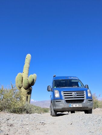 Ein blauer Van fährt neben einem großen Kaktus auf einer staubigen Straße in einer Wüstenlandschaft in Argentinien unter klarem, blauem Himmel.