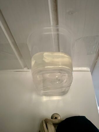 Ein Plastikbehälter, der provisorisch an der Decke eines Wohnmobils befestigt ist, um Wasser aufzufangen, das durch eine undichte Stelle tropft. Der Behälter ist fast halb voll mit Wasser.
