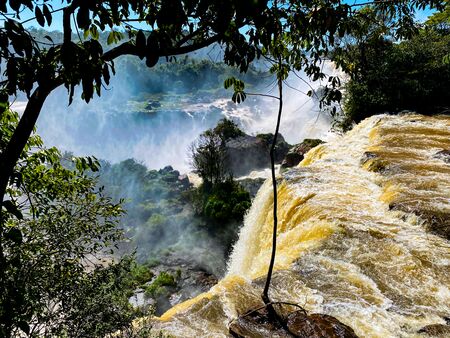 Die berühmten Iguazú-Wasserfälle auf der argentinischen Seite. Die Perspektive ist dabei von oben schauend auf die gewaltigen Wassermassen, die durch Regenwald eingerahmt in die Tiefe stürzen. Eine Liane hängt von einem der Bäume hinunter.