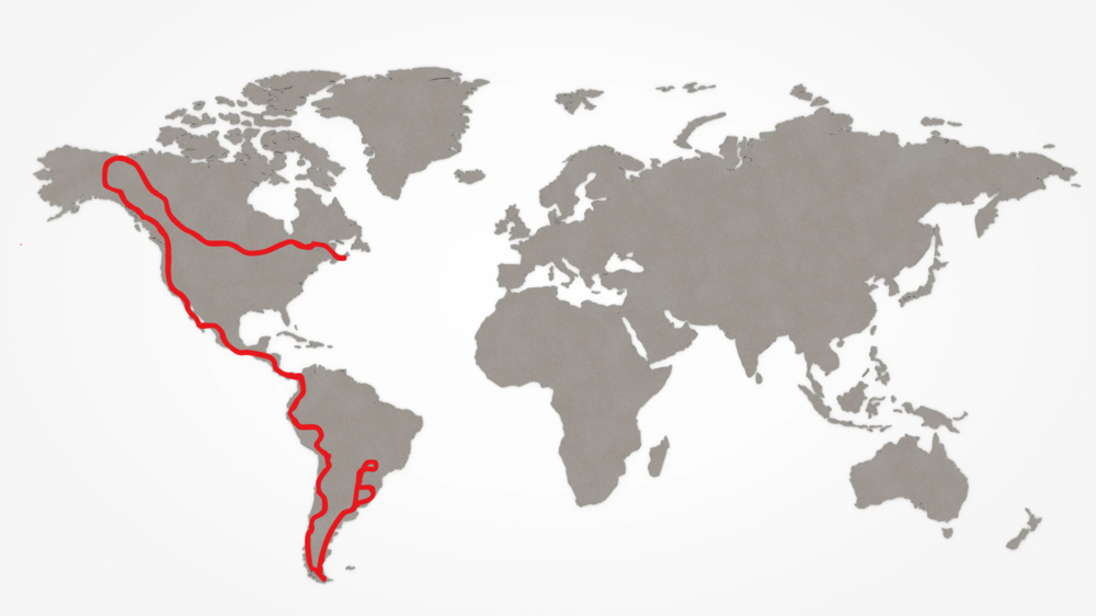 Eine weiß-graue Weltkarte in der die Reiseroute von Montevideo nach Halifax in Rot eingezeichnet ist. Die Panamericana.