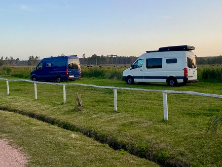 2 VW Crafter Camper stehen auf einer grünen Wiese im Abendlicht. Der vordere, ein blauer Van, der hintere ein weißer Van. Im Hintergrund eine Kuhweide. Der Ort ist der Campingplatz am Eingang nach Cabo Polonio in Uruguay.