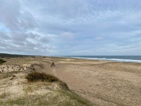 Die weitläufigen Dünen an der Atlantikküste Uruguays erstrecken sich majestätisch bis zum Meer. Diese beeindruckende Küstenlandschaft östlich von Montevideo bietet eine atemberaubende Aussicht und lädt zum Erkunden ein. Die einzigartige Flora und Fauna so